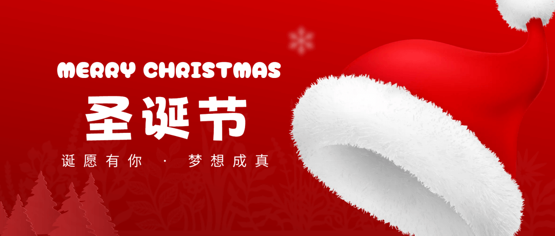 祝您節(jié)日快樂！Merry Christmas！